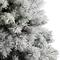 6ft. Pre-Lit Flocked Oregon Pine Artificial Christmas Tree, Clear Lights